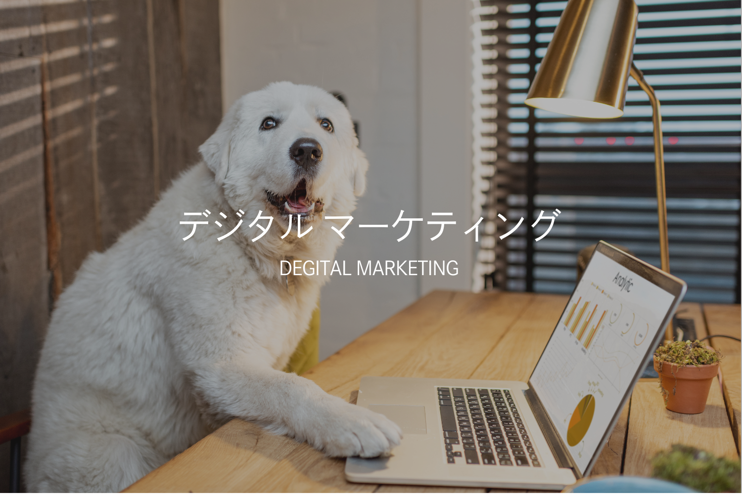 デジタルマーケティング